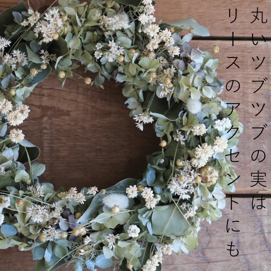 ドライフラワー アマ ＊ 亜麻 あま リンフラワー / 北海道産 花材 枝