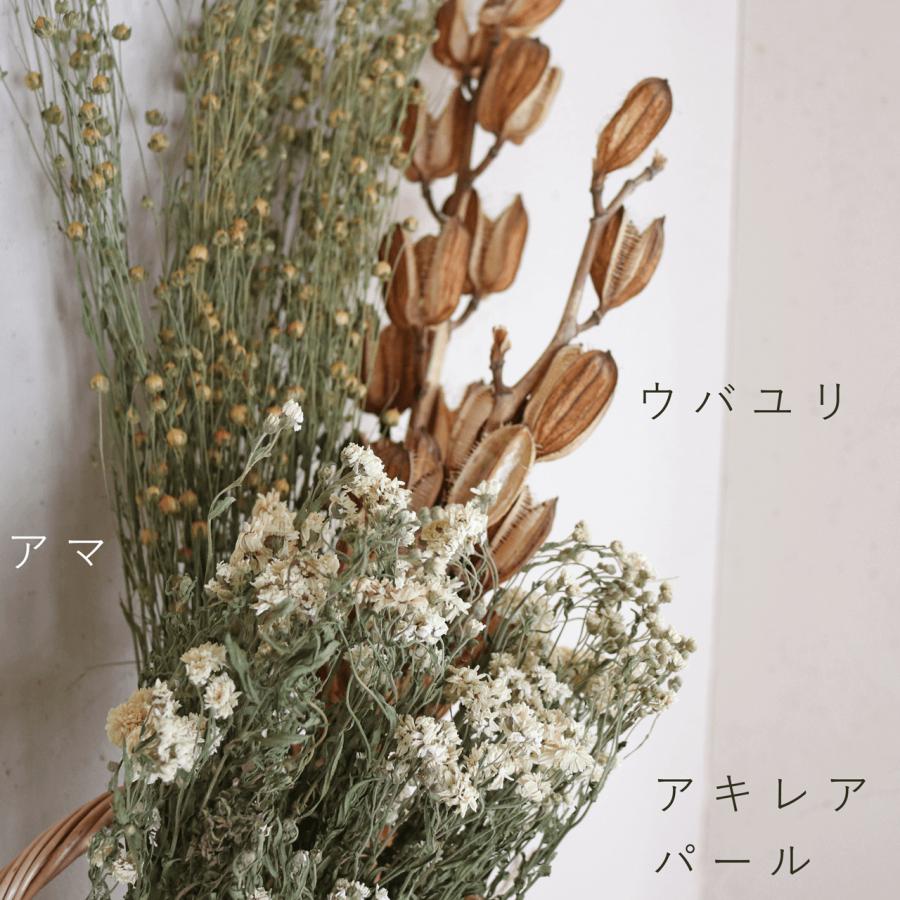 ドライフラワー アマ ＊ 亜麻 あま リンフラワー / 北海道産 花材 枝