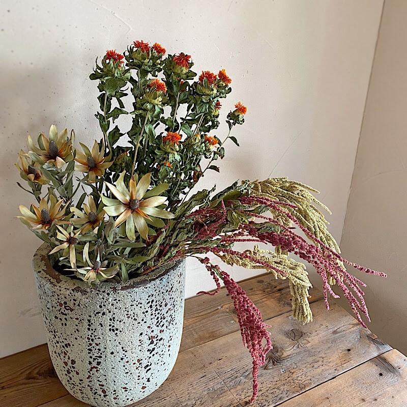 大枝 ロング ドライフラワー アマランサス ひもケイトウ レッド ロング D Amaranthuslongred 富良野 花七曜 通販 Yahoo ショッピング