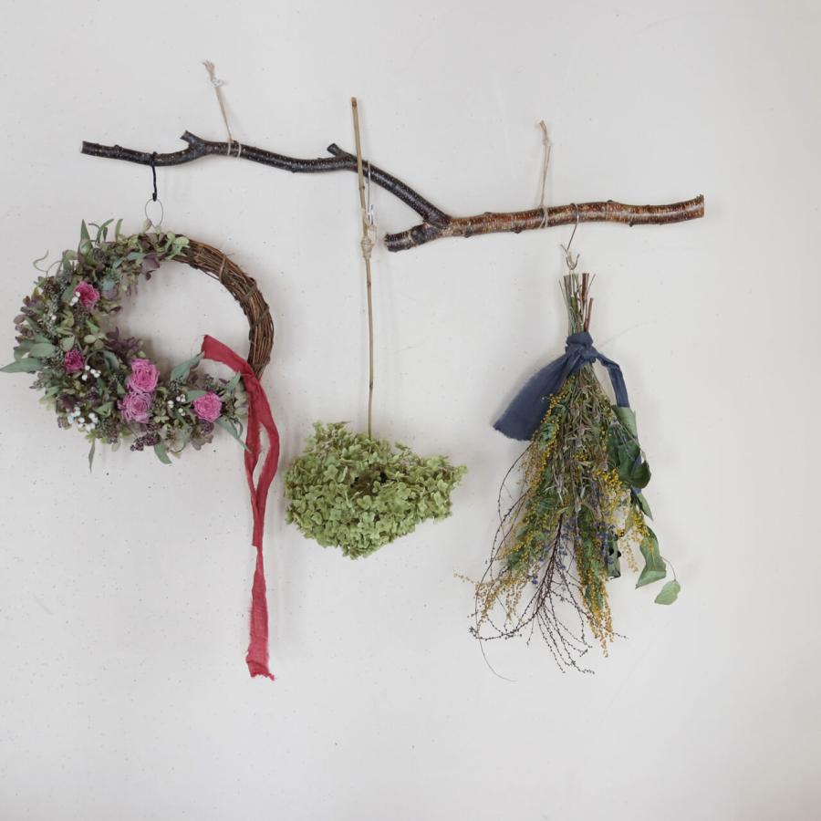 約直径20〜25cm】アナベル枝つき 大 /アジサイ あじさい/ ドライ