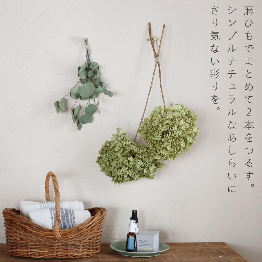 約直径20〜25cm】アナベル枝つき 大 /アジサイ あじさい/ ドライ