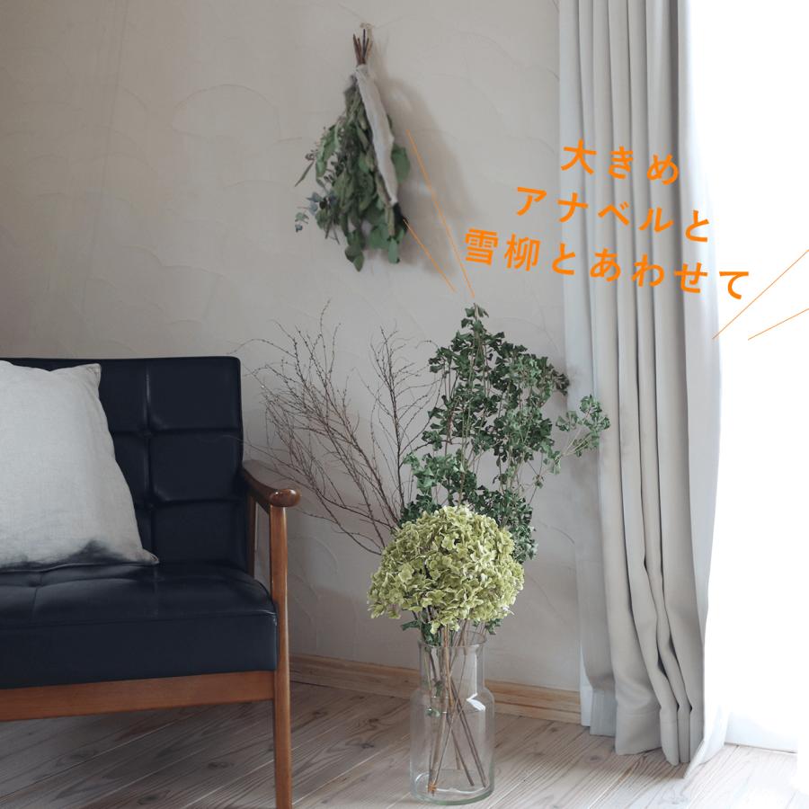 ドライフラワー★枝物シンプルリース★アシンメトリックデザイン　テッポウユリ 富良野産 枝もの【長さ60～80cm】白樺の枝 ロング ブラウン ドライ