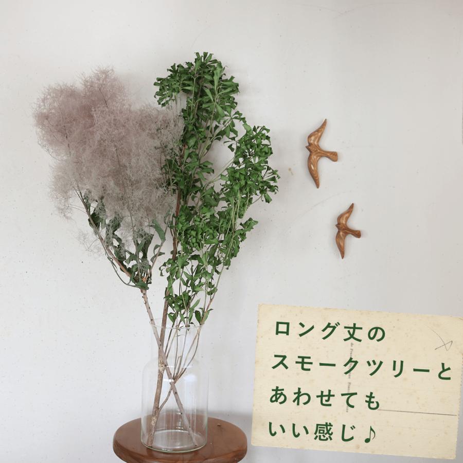 ドライフラワー あせび 大枝 60〜80cm 【グリーン】 ◇ 馬酔木 あせぼ
