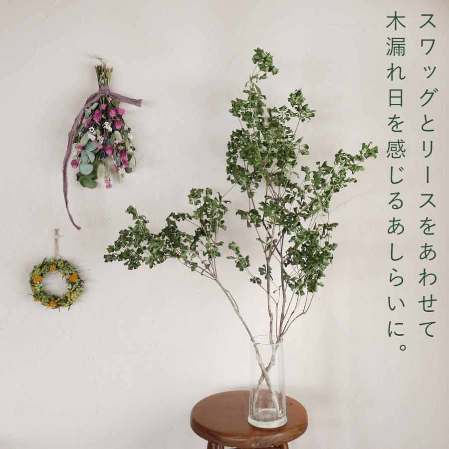 ドライフラワー★枝物シンプルリース★アシンメトリックデザイン　テッポウユリ 富良野産 枝もの【長さ60～80cm】白樺の枝 ロング ブラウン ドライ