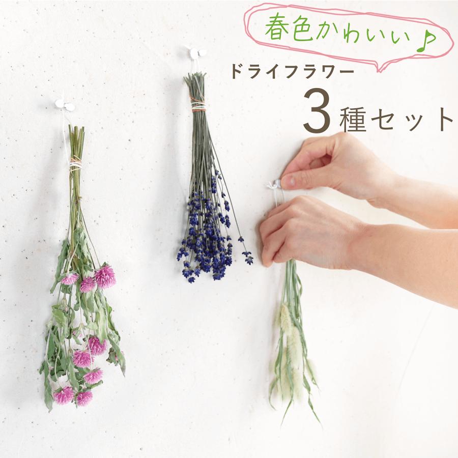 春色かわいい ドライフラワー3種セット 千日紅ライラックピンク 富良野ラベンダー ラグラス ＊ 茎付だから吊り下げて♪ ナチュラルインテリア お試しセット 枝（Yahoo!・富良野・花七曜）