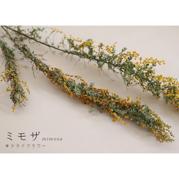 ドライフラワー ミモザ 花材 リース 手作り 国産 材料 素材 ナチュラル インテリア D Mimoza 富良野 花七曜 通販 Yahoo ショッピング