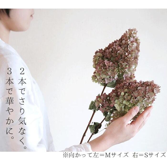 ドライフラワー 】 アジサイ ミナヅキ 枝付き オータムフレイズ ドライフラワー 】 アジサイ ミナヅキ 枝付き オータムフレイズ
