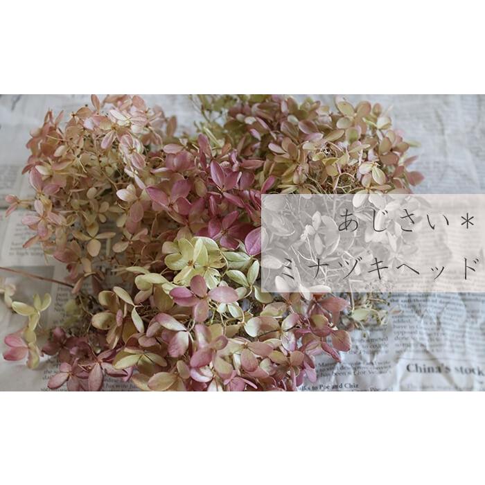 ドライフラワー アジサイ ミナヅキヘッド あじさい ピラミッドアジサイ 花材 リース 手作り ナチュラル ピンク ディスプレイ インテリア D Minahead 富良野 花七曜 通販 Yahoo ショッピング