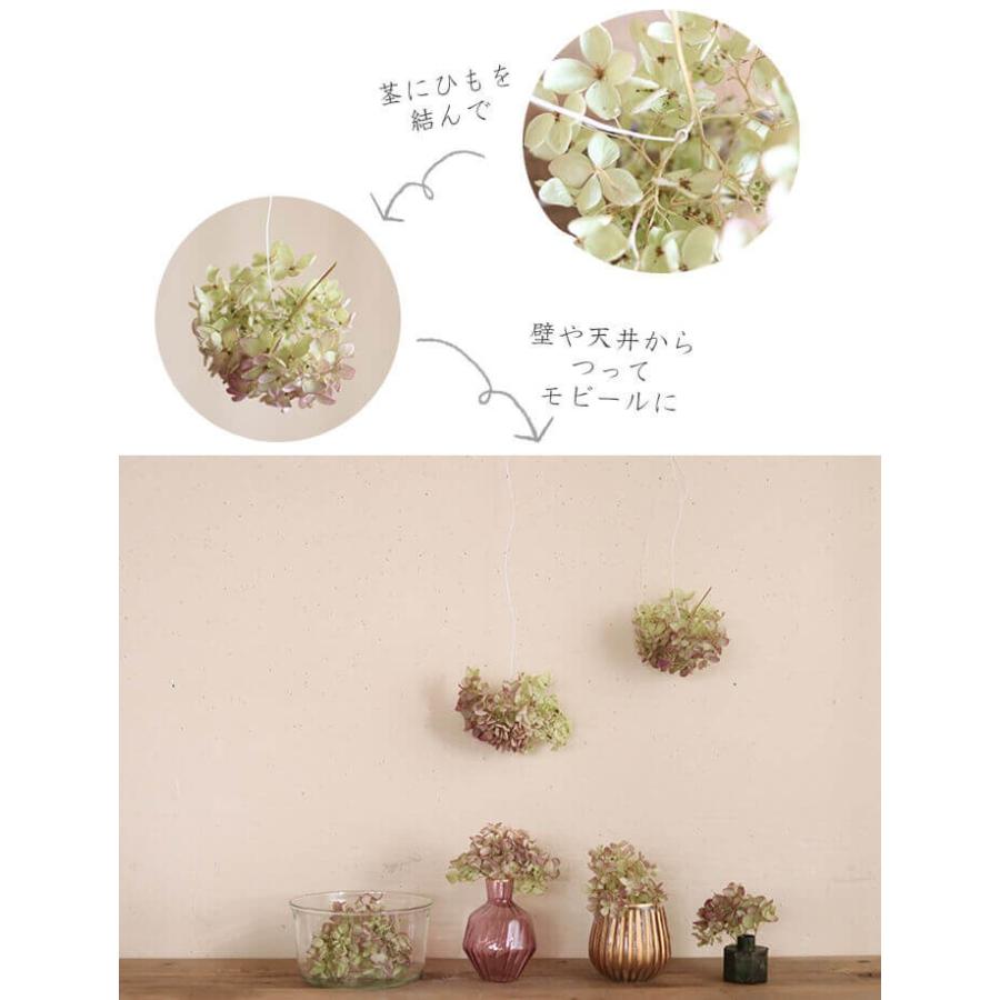 ハーフリース　スモークツリーとピラミッドアジサイ ハーフリース スモークツリーとピラミッドアジサイ