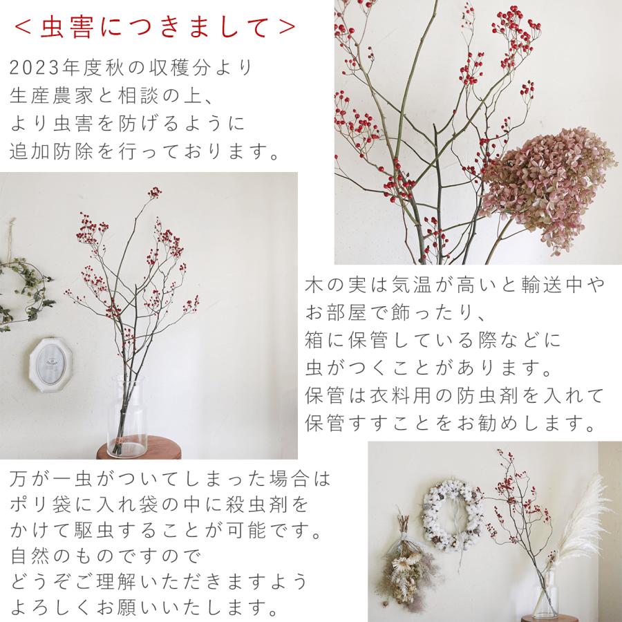 大枝 赤い実 長さ約60cm〜80cm】 野バラの実 ◇ドライフラワー / 花材