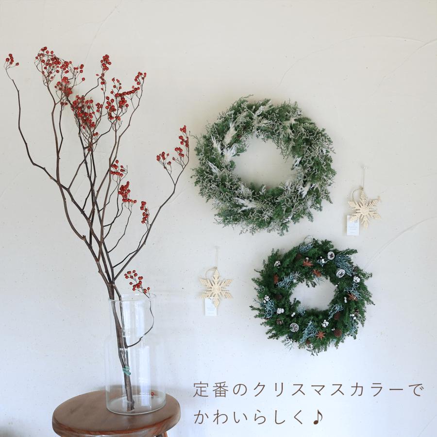 大枝 赤い実 長さ約60cm〜80cm】 野バラの実 ◇ドライフラワー / 花材