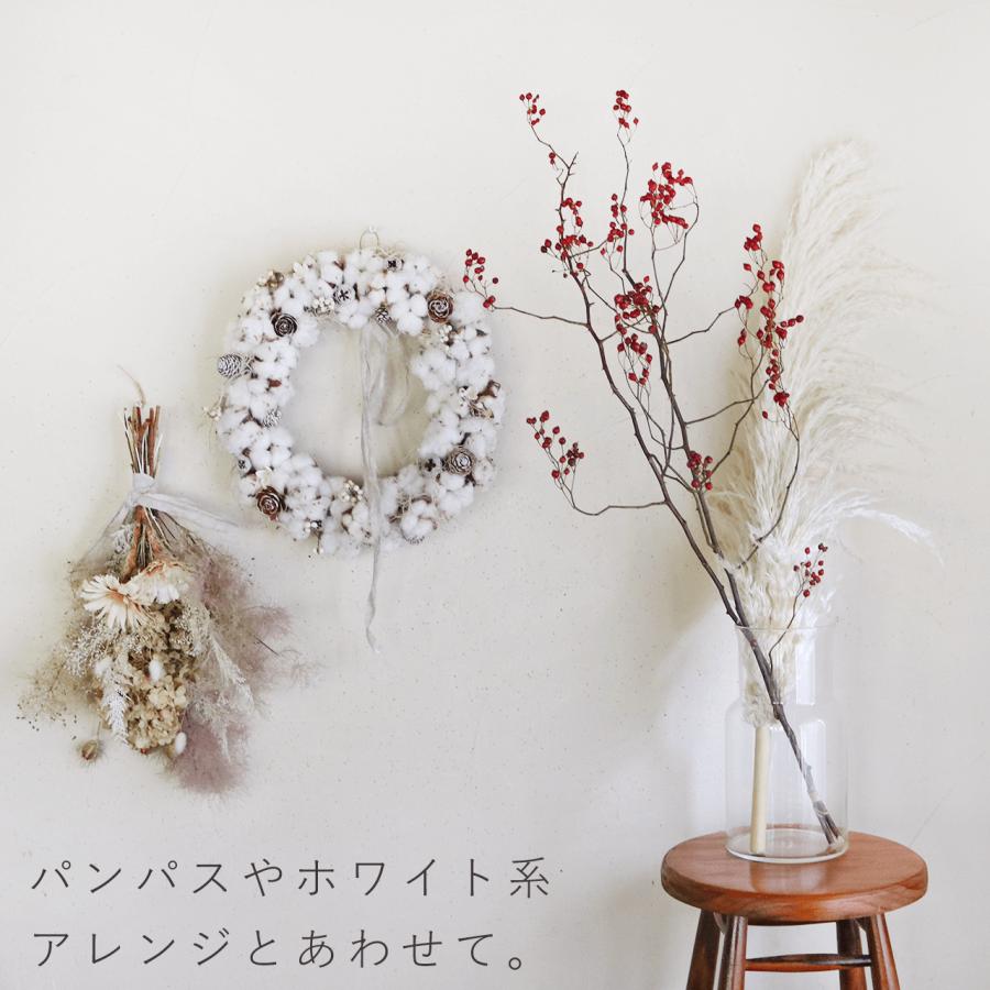 大枝 赤い実 長さ約60cm〜80cm】 野バラの実 ◇ドライフラワー / 花材