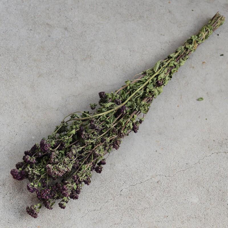 オレガノあじさいとグリーンのムーンリース○ドライフラワーリース