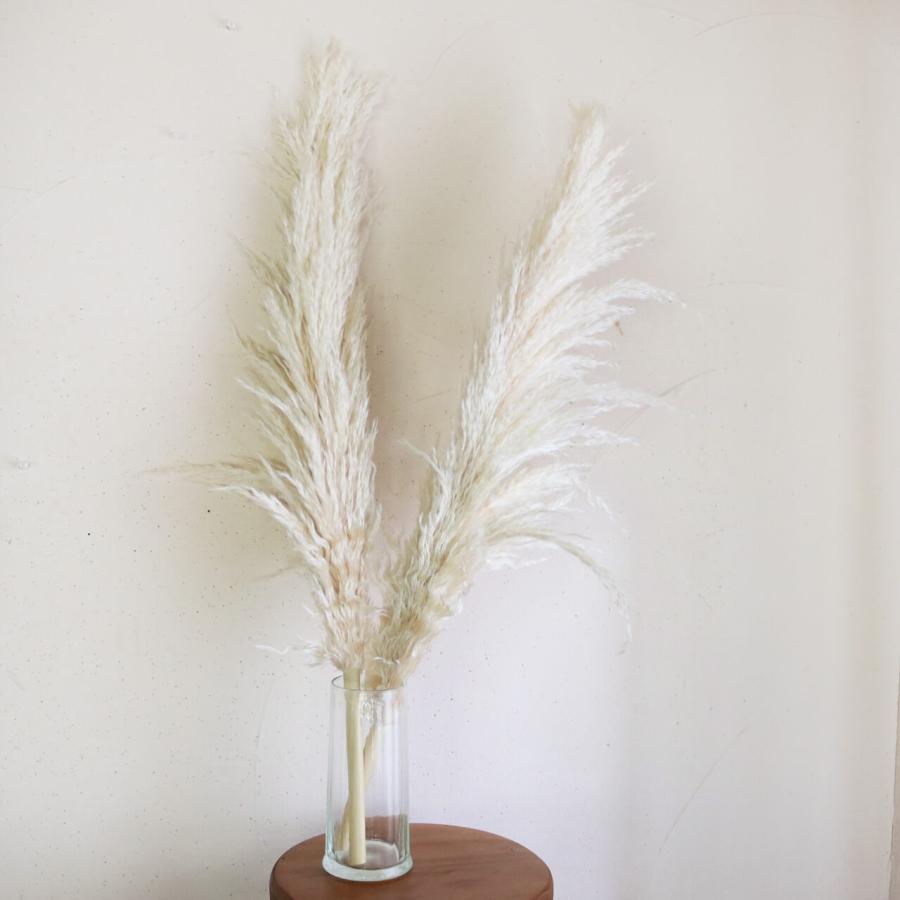 大枝 約80〜90cm 】 パンパスグラス ＊ ドライフラワー 穂もの