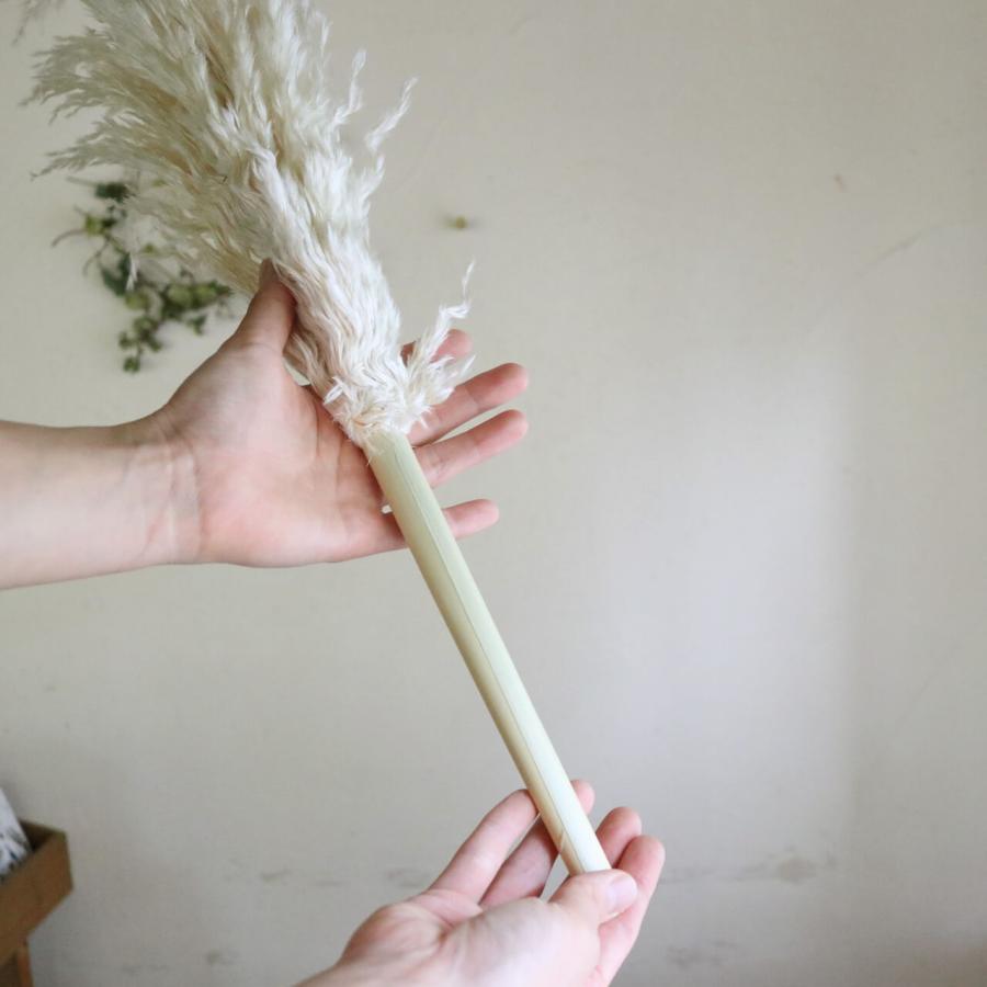 大枝 約80〜90cm 】 パンパスグラス ＊ ドライフラワー 穂もの