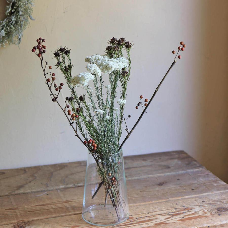 定番キャンバス リューカデンドロン ジュビリィクラウン ドライフラワー 花材 リース 手作り 材料 素材 ナチュラル Atlantide1 Com