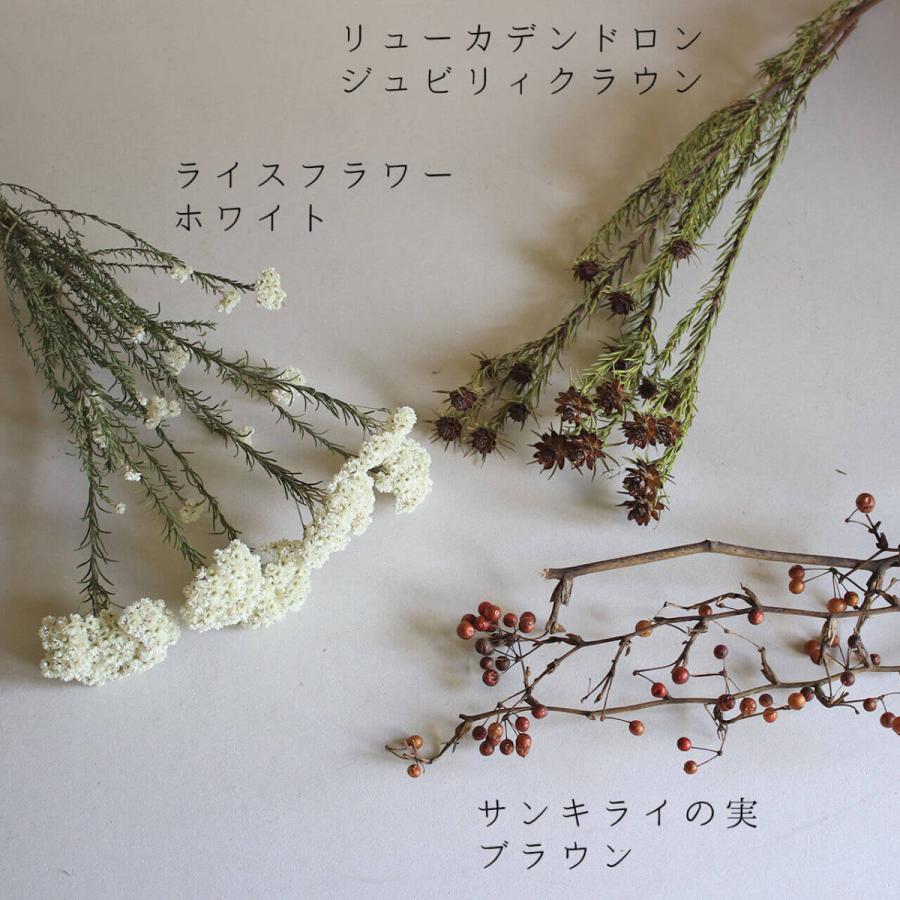 定番キャンバス リューカデンドロン ジュビリィクラウン ドライフラワー 花材 リース 手作り 材料 素材 ナチュラル Atlantide1 Com