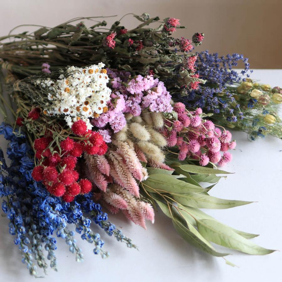 千日紅 カーマインフィールド / ドライフラワー ピンク ディープピンク