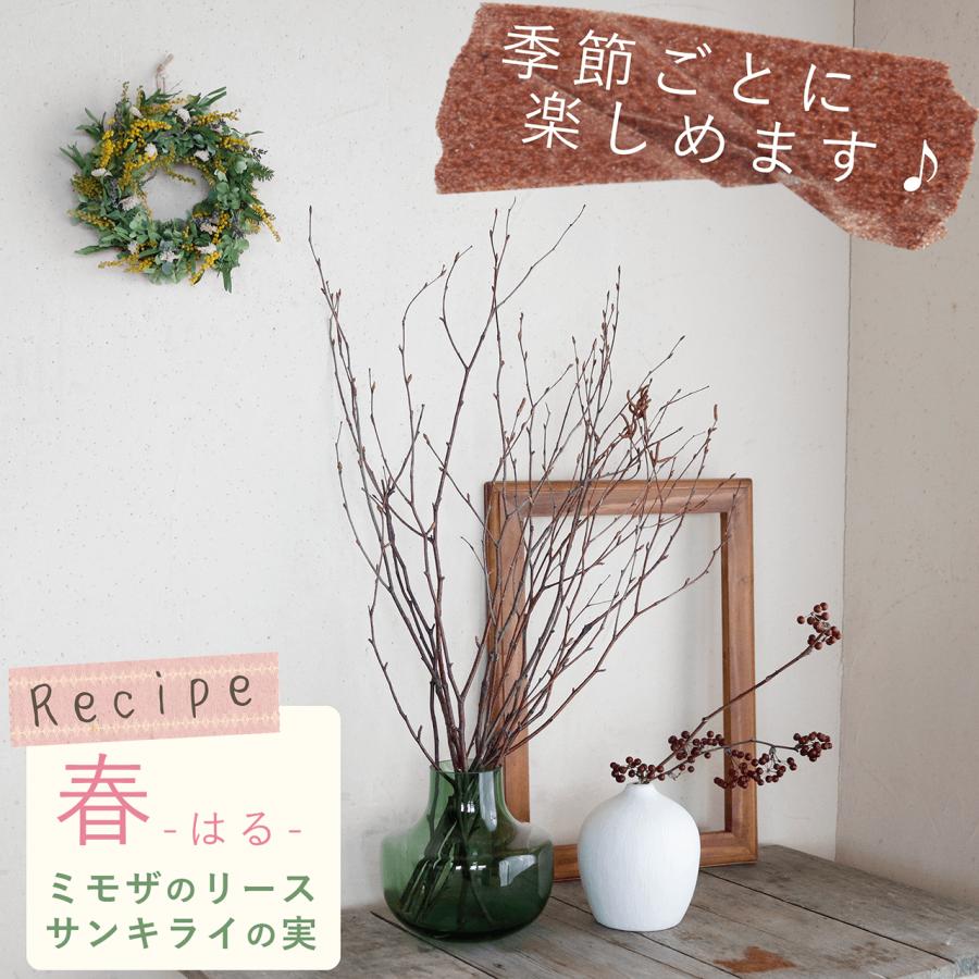 富良野産】白樺の枝 ロング ブラウン ドライフラワー ◇ ナチュラル