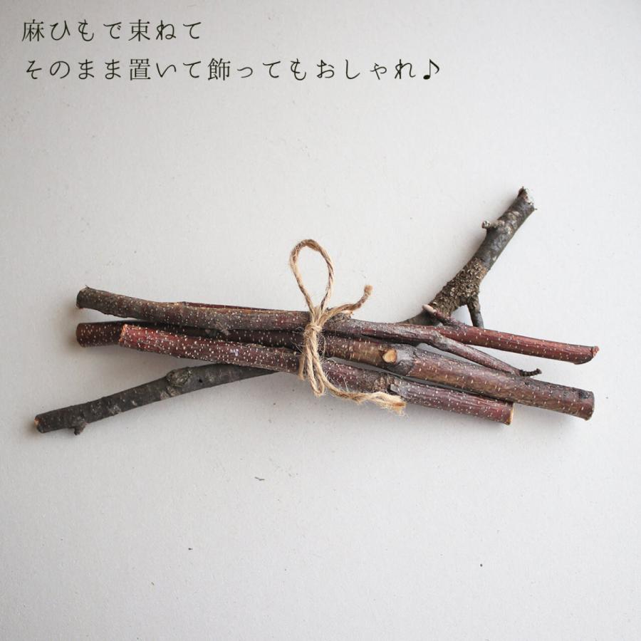 北海道 富良野産】白樺の枝 ミニサイズ 【 5本セット 】 : 富良野・花