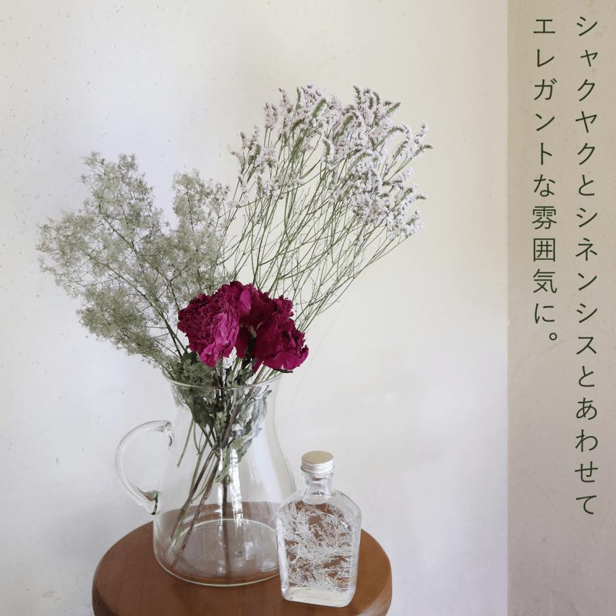 ドライフラワー】スモークツリー グリーン 系 ＊ インテリア