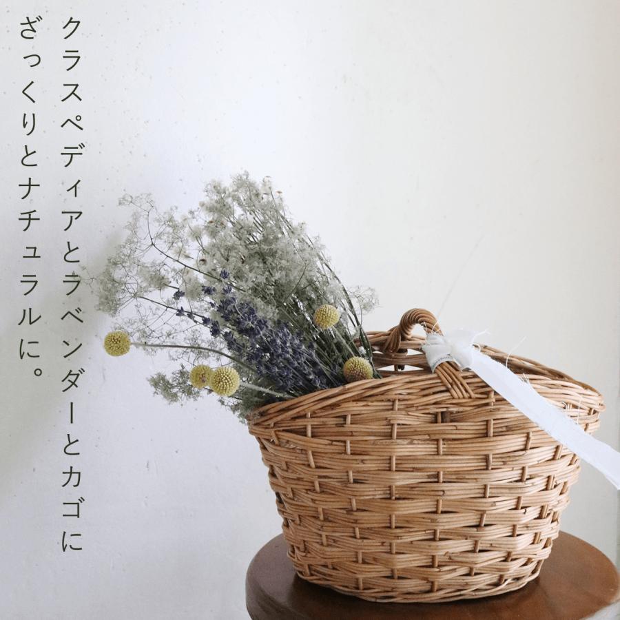 ドライフラワー】スモークツリー グリーン 系 ＊ インテリア