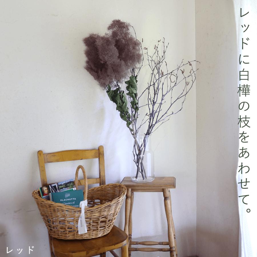大枝 丈60〜80cm 】 スモークツリー ロング (1〜2本)◇ モーヴ