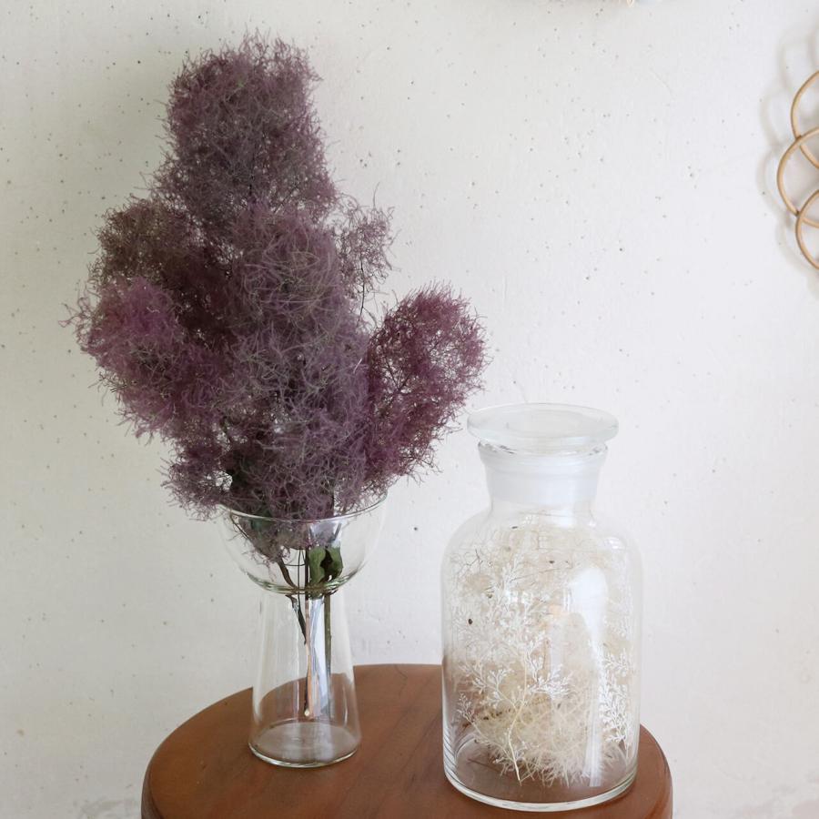 ドライフラワー】スモークツリー レッド 系 / インテリア ナチュラル