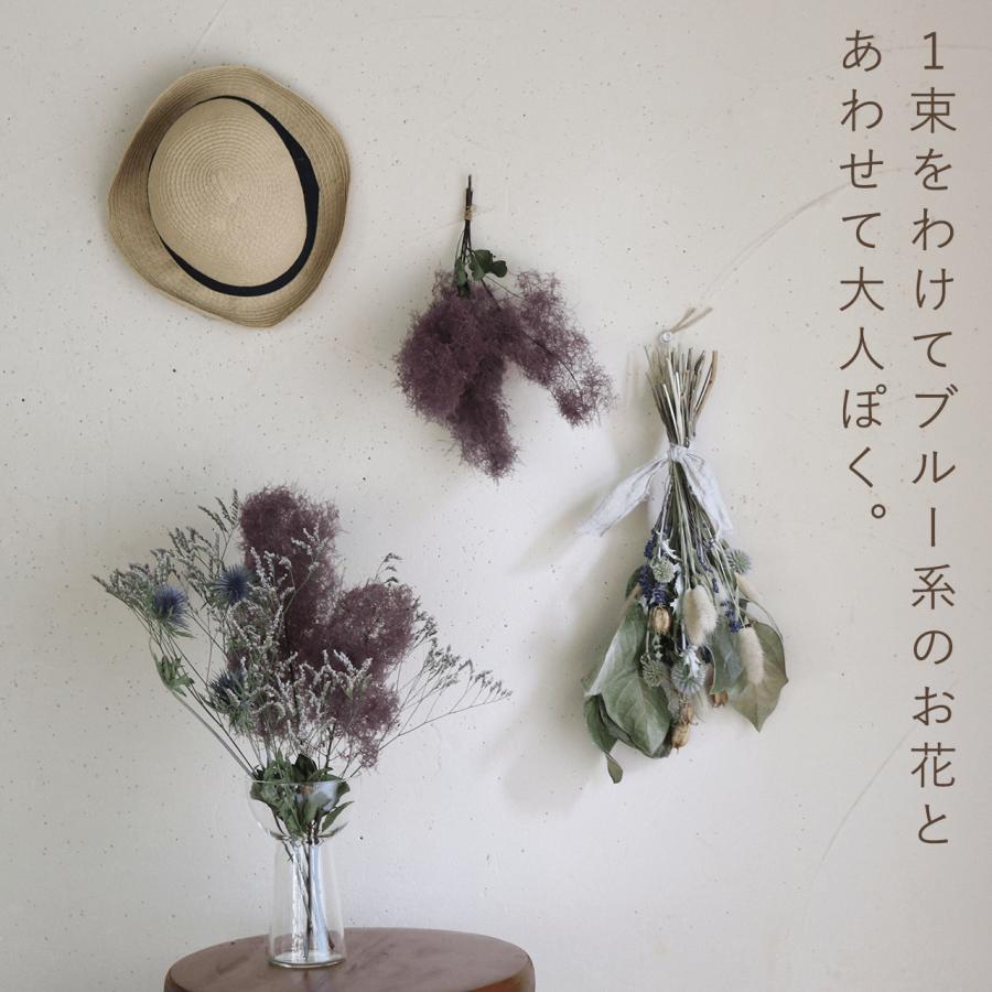 ドライフラワー】スモークツリー レッド 系 / インテリア ナチュラル