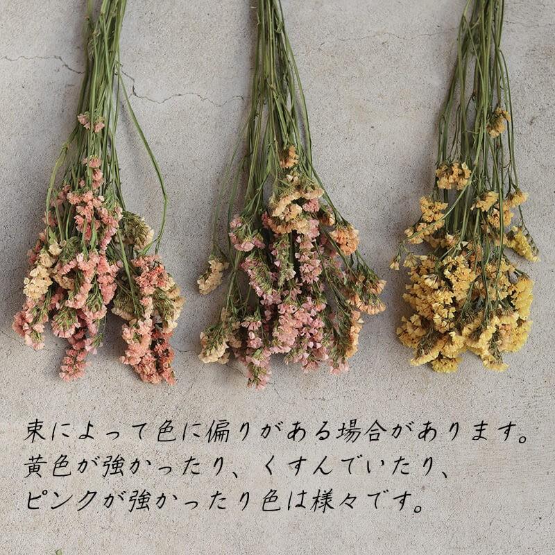 ドライフラワー　アプリコットcolorふんわりリース ドライフラワー 】 スターチス アプリコット / 北海道産 花材 リース
