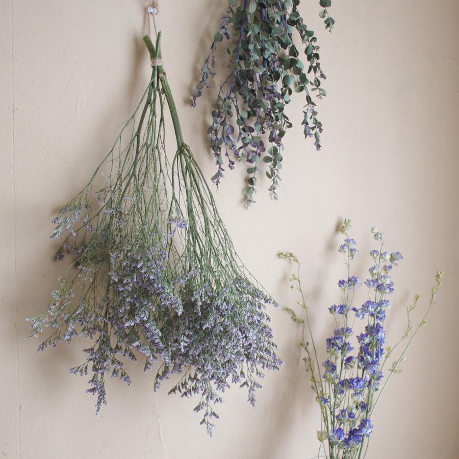 スターチス HBチース ブルーファンタジア / ドライフラワー 花材