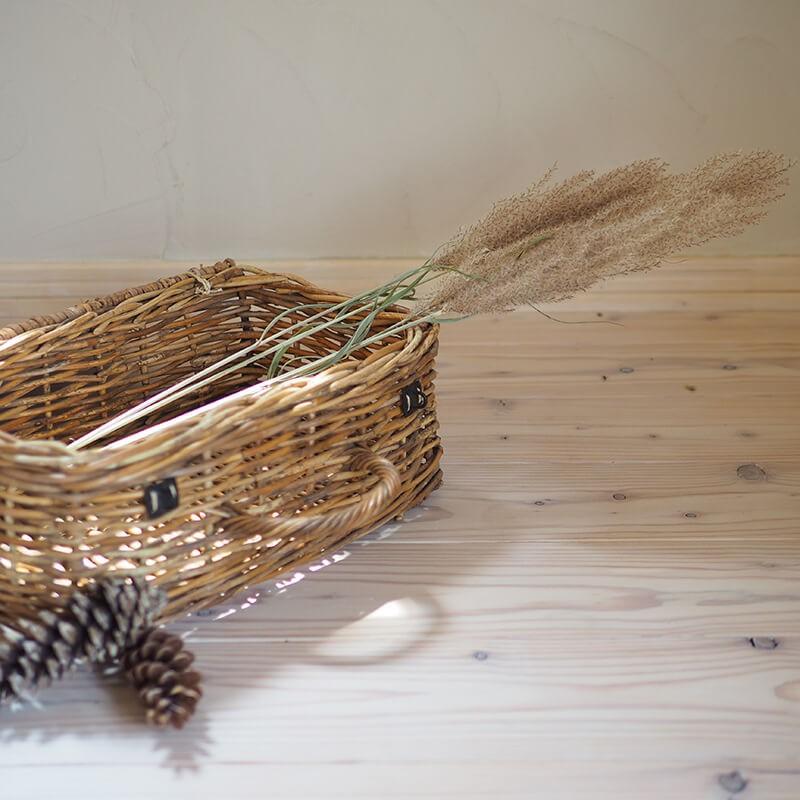 すすき (ススキ) / 北海道産ドライフラワー 穂もの グリーン