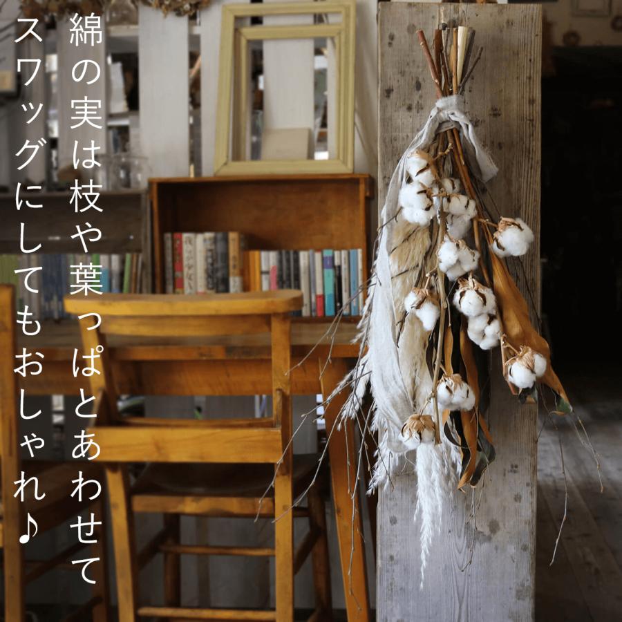ドライフラワー★枝物リース　★ノイバラ　コットンフラワー　壁掛け　お好きな角度で 綿の実枝つき ホワイト / コットンフラワー クリスマス ドライフラワー