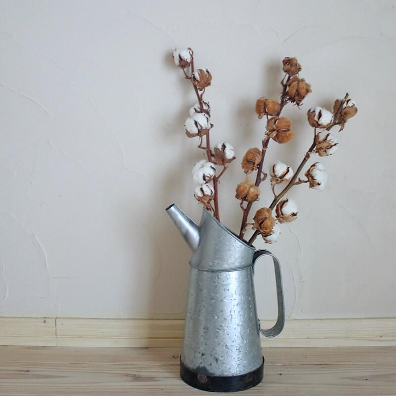 まとめ売り約35本】綿の木 枝付き コットンフラワー 綿花 ドライ