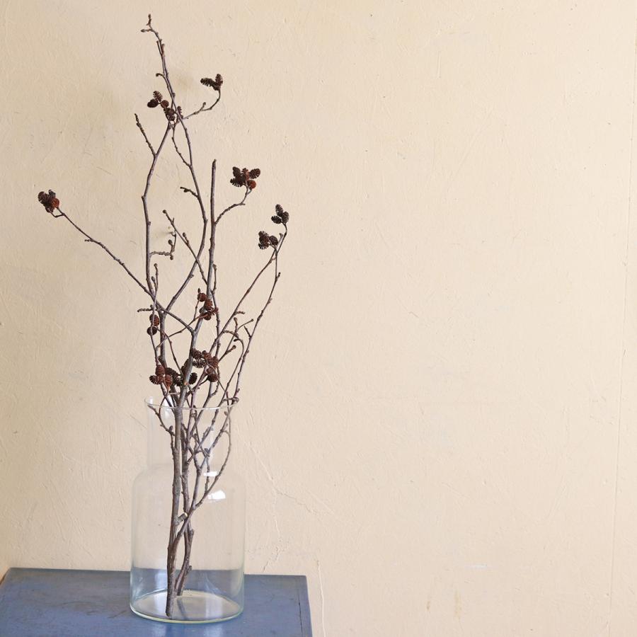 富良野産 ヤシャブシ 枝付き ドライフラワー ナチュラル インテリア 素材 D Yashalong 富良野 花七曜 通販 Yahoo ショッピング