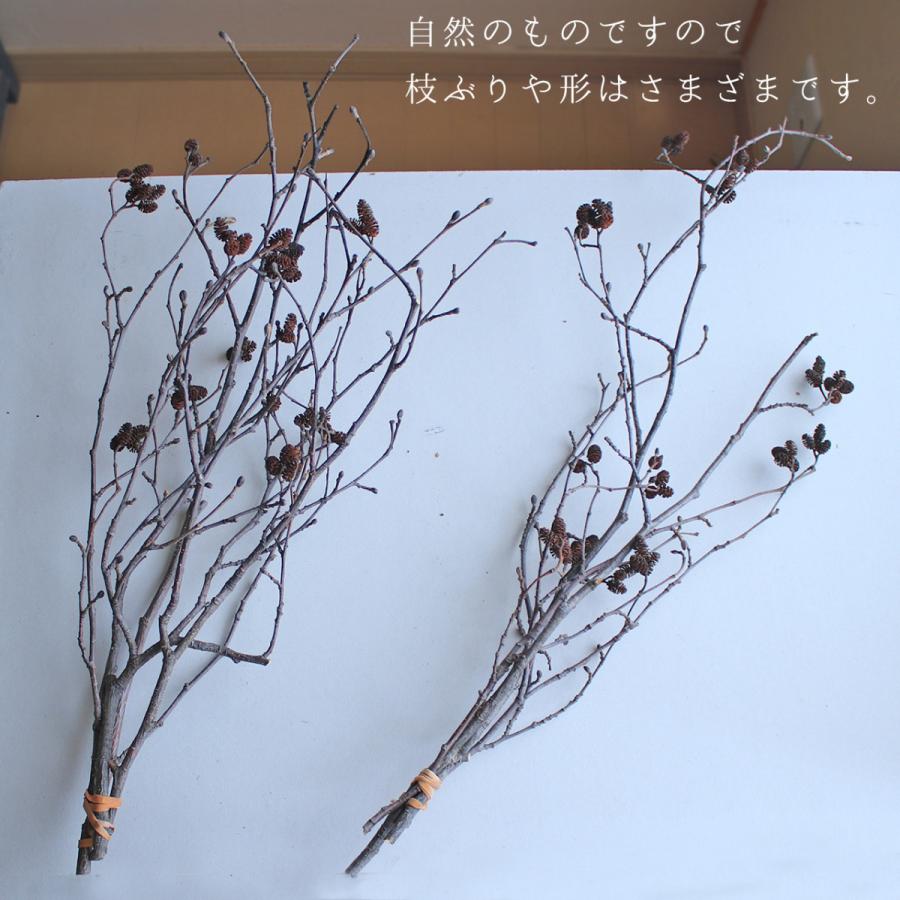 富良野産 ヤシャブシ 枝付き ドライフラワー ナチュラル インテリア 素材 D Yashalong 富良野 花七曜 通販 Yahoo ショッピング