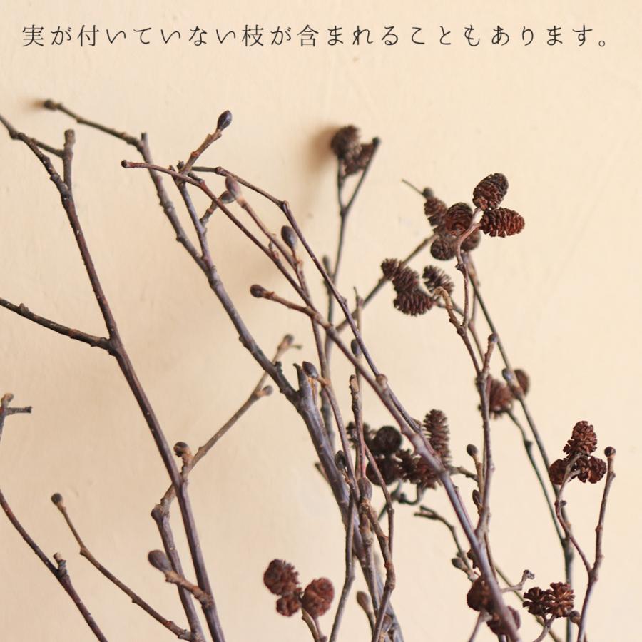 富良野産 ヤシャブシ 枝付き ドライフラワー ナチュラル インテリア 素材 D Yashalong 富良野 花七曜 通販 Yahoo ショッピング