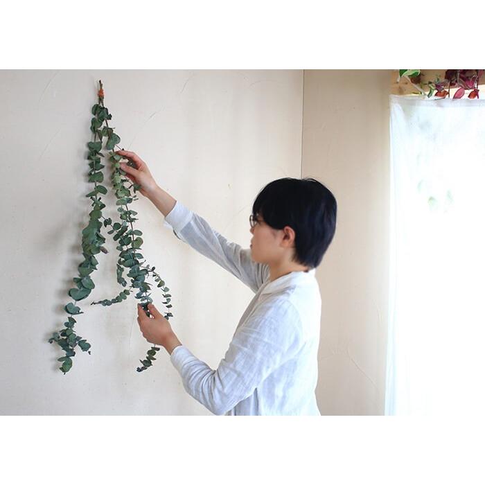 大枝 約60〜90cm 】 ユーカリ 銀世界 ロング / ドライフラワー