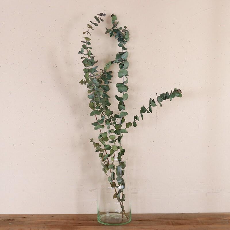 ユーカリ ドライフラワー 枝の長さ最大　60cm　60本 120サイズ⋆ฺ࿐✩⡱ 大枝 約60〜90cm 】 ユーカリ 銀世界 ロング / ドライフラワー