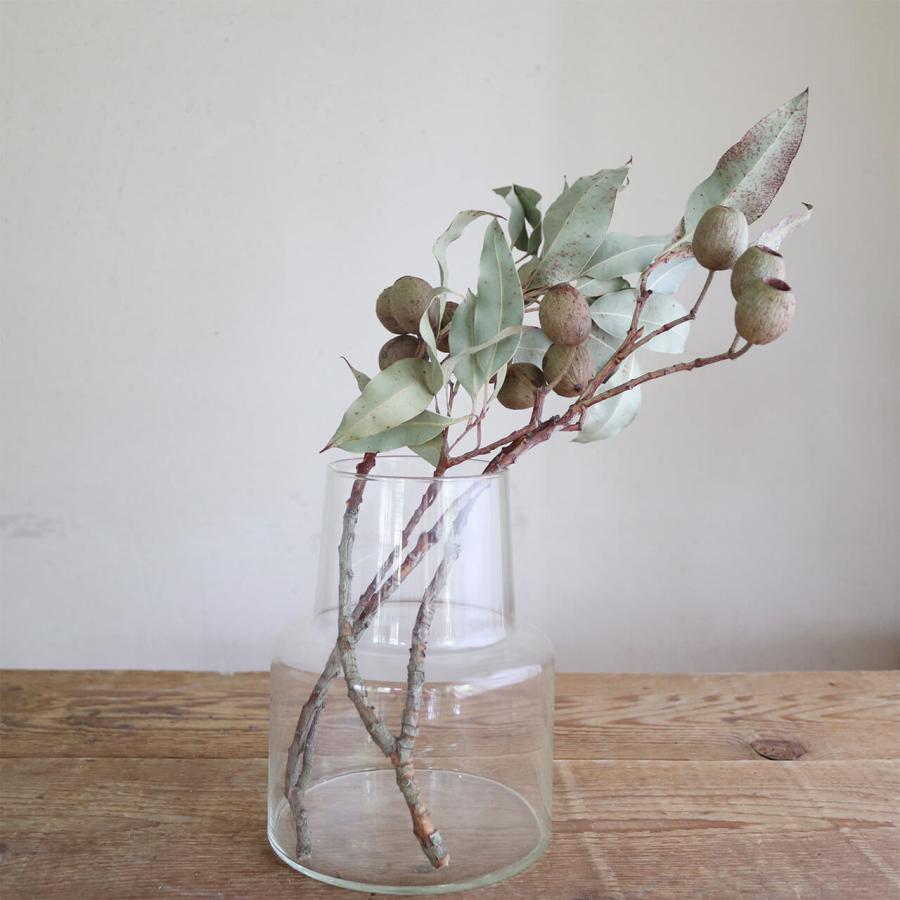 ❈ ユーカリ ❈ フレッシュ ❈ ドライ ❈ ❈ ユーカリ ❈ フレッシュ ❈ ドライ ❈ 【公式通販】