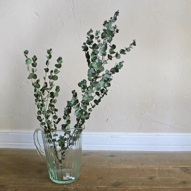 グニーユーカリ ドライフラワー 花材 リース 手作り 材料 ナチュラル 素材 グリーン ディスプレイ 送料無料 激安 お買い得 キ フト ボタニカル インテリア