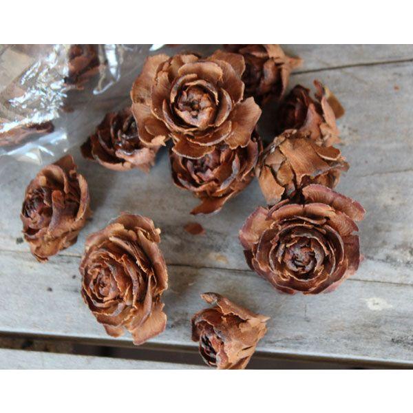 シダーローズヘッド N/木の実（大地農園） : 富良野・花七曜 - 通販