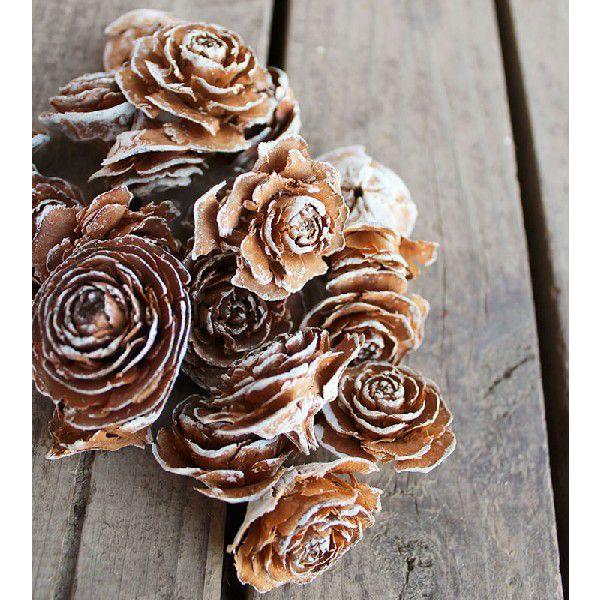 シダーローズヘッド スノー /ドライフラワー・木の実(大地農園