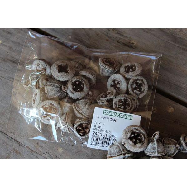 ユーカリの実　スノー/木の実（大地農園） |  | 01