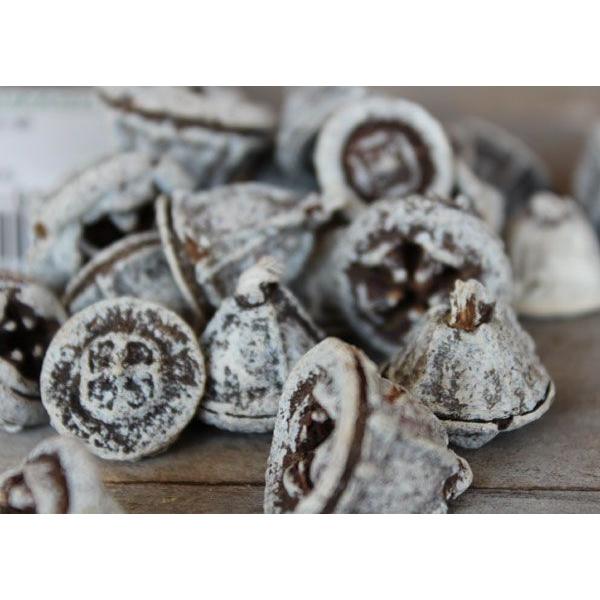 ユーカリの実　スノー/木の実（大地農園） |  | 02