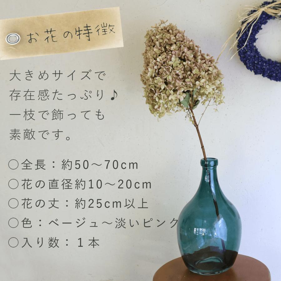 【花丈 約25cm 〜 】あじさい ミナヅキ枝付 大 L サイズ ＊ ドライフラワー アジサイ 国産ドライフラワー インテリア ナチュラル ...