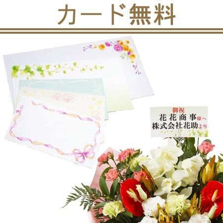 花色は選べる25色【配送,名札,画像無料】【全国手渡しアレンジメント】フラワーコンシェルジュ厳選花屋のお祝いアレンジメント花　18000円　_1