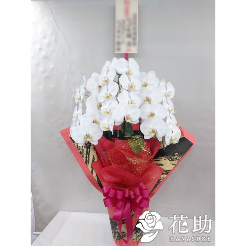 高い品質 お花屋さんから手渡し届け 送料 名札 画像無料 全国配達 フラワーコンシェルジュが厳選した花屋の胡蝶蘭3本立ち 24輪以上 000円 超人気 Www Muslimaidusa Org