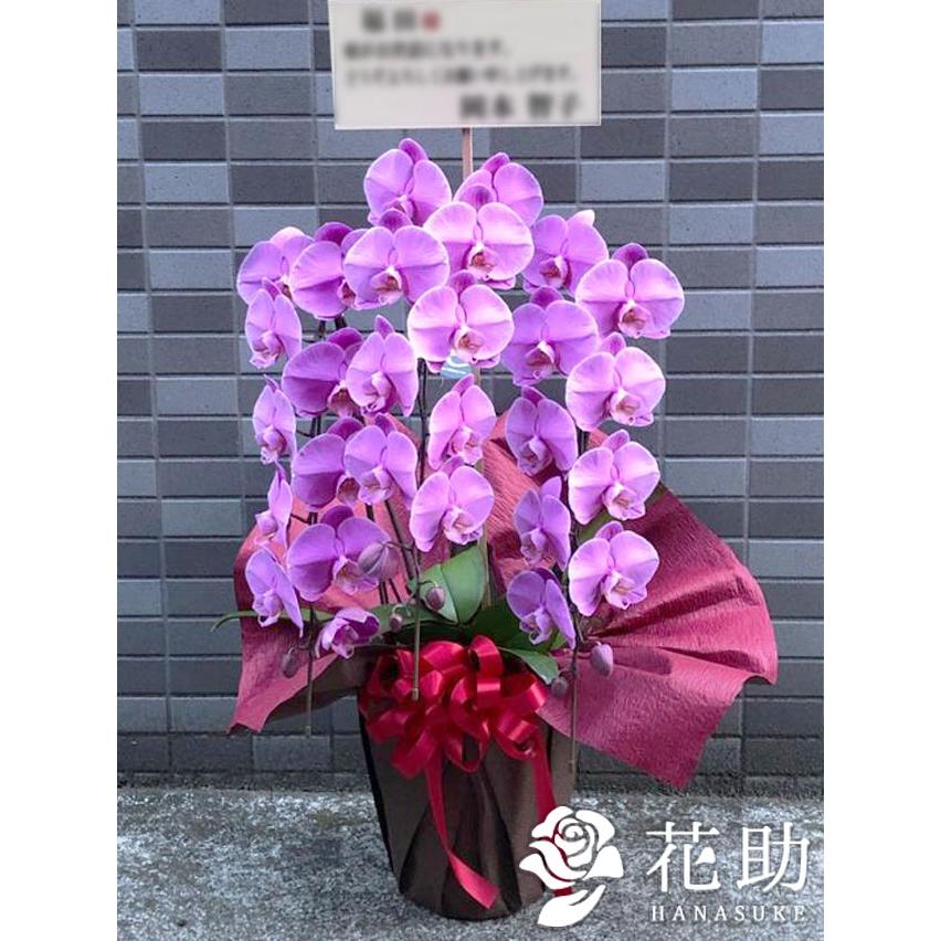 高い品質 お花屋さんから手渡し届け 送料 名札 画像無料 全国配達 フラワーコンシェルジュが厳選した花屋の胡蝶蘭3本立ち 24輪以上 000円 超人気 Www Muslimaidusa Org