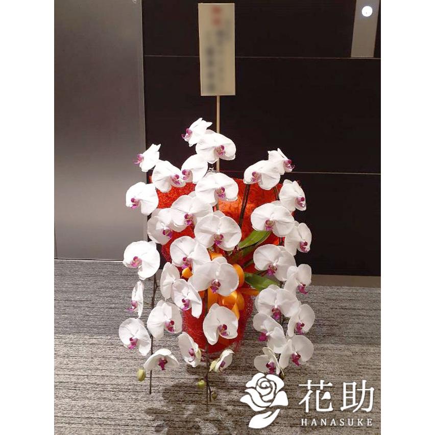 高い品質 お花屋さんから手渡し届け 送料 名札 画像無料 全国配達 フラワーコンシェルジュが厳選した花屋の胡蝶蘭3本立ち 24輪以上 000円 超人気 Www Muslimaidusa Org